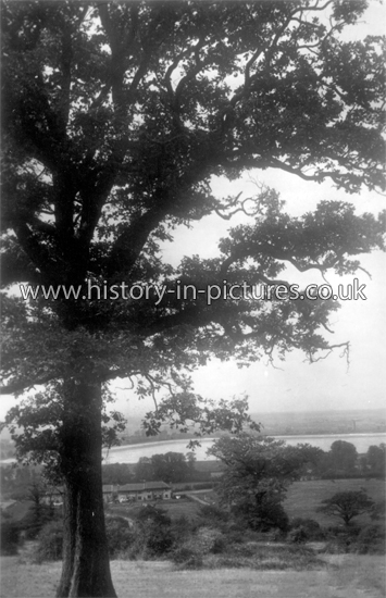 The Valley from Pole Hill, Chingford, London. c.1920's.